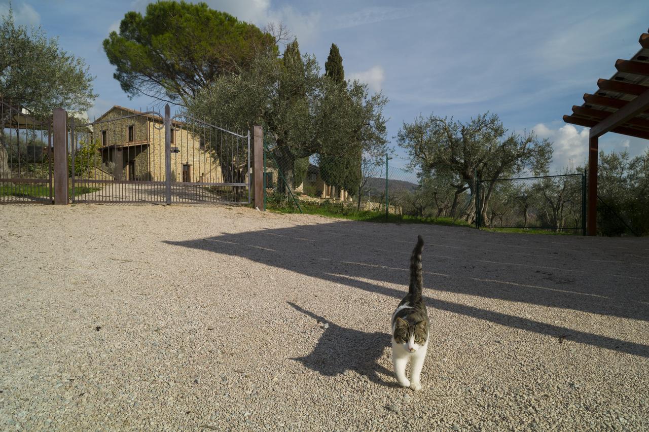 Antico Casale Tiravento Aparthotel Passignano sul Trasimeno Exterior photo